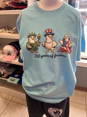 Brand new unisex  T-shirt 250 anniversary for July patriotic